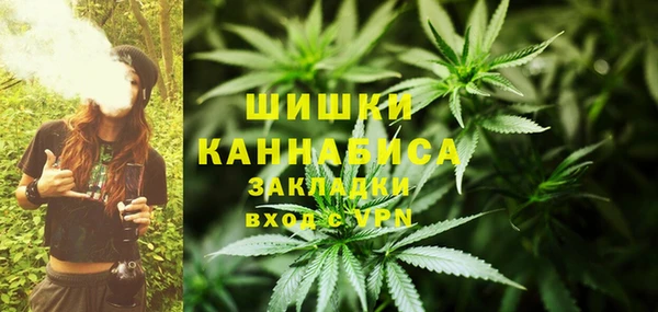 гидропоника Богданович