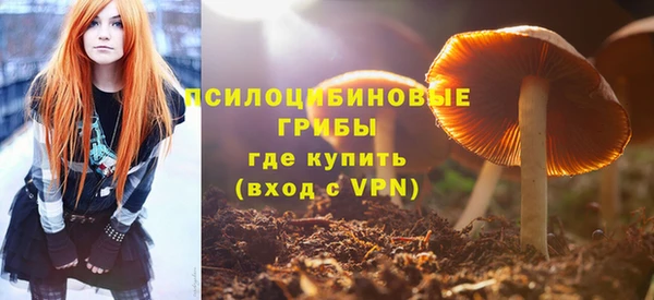 COCAINE Богородск